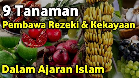 9 TANAMAN PEMBAWA KEMAKMURAN DALAM ISLAM Tanaman Pembawa Rezeki YouTube