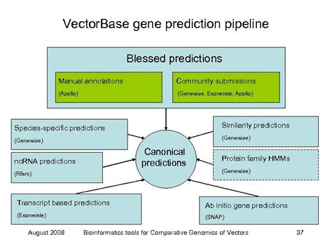 Genome Annotation Daniel Lawson Vector Base Ebi