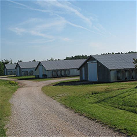 Poultry Shed Chicken Farm Building House For Chickens China