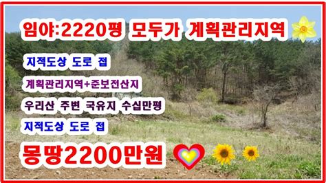 급매 놓치지말아야 할 임야 2220평 모두가 계획관리지역 이네요 그기다가 준보전산지고요 지적도상 도로도 접 주변에 국유림