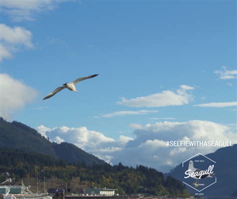 Wildlife Viewing - Tourism Vancouver Island