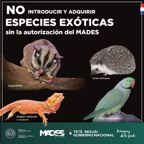 Instan A No Introducir Y Adquirir Especies Ex Ticas Ministerio Del