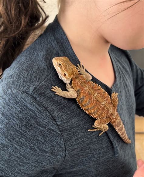 PARKER EXOTIC PETS - Updated October 2025 - 47 Photos & 41 Reviews ...