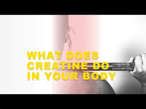 What Does Creatine Do In Your Body YouTube