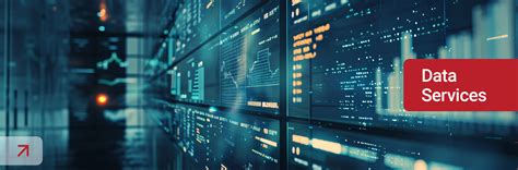 data services strategic systems international