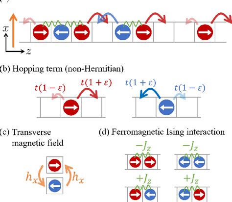 Figure From Activity Induced Ferromagnetism In One Dimensional