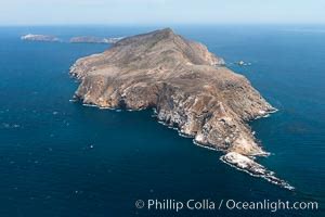 Anacapa Island Photo, Anacapa Island photos, Natural History Photography