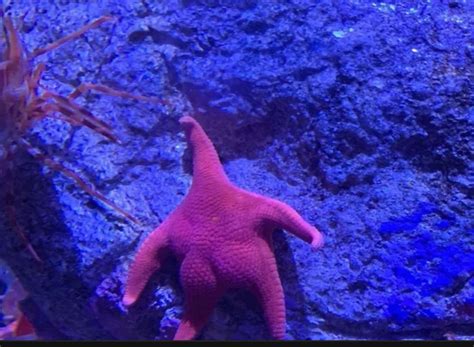 Not Gay Porn I Swear R Ppnojutsu