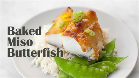 Baked Miso Butterfish Easy Black Cod Sablefish Recipe Youtube