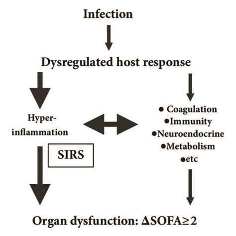 The Heterogeneous Inflammatory Response In Sepsis 3 According To The Download Scientific