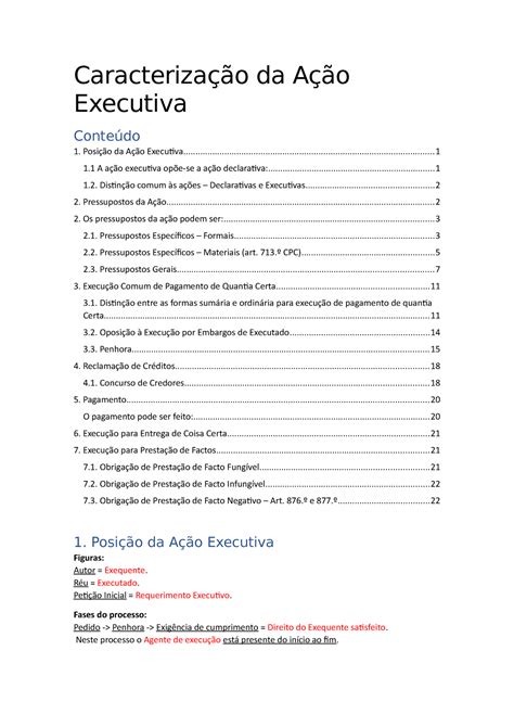 Processo Executivo Resumos Caracterização da Ação Executiva