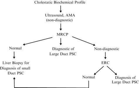 Primary Sclerosing Cholangitis Abdominal Key