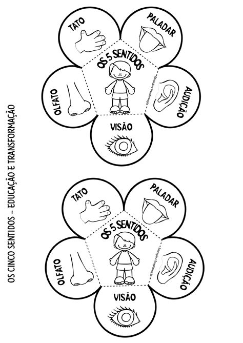 Atividades Os Sentidos Educação Infantil - 5