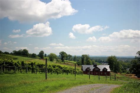 Williams Gap Vineyard – Loudoun County Winery | Event and Wedding Venue