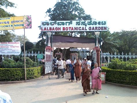 sankranthi muggulu and Mehandi designs...: lalbagh botanical garden