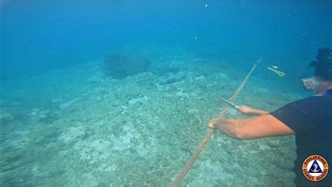 Floating Barrier Ng Chinese Coast Guard Sa Baj De Masinloc Tinanggal Na