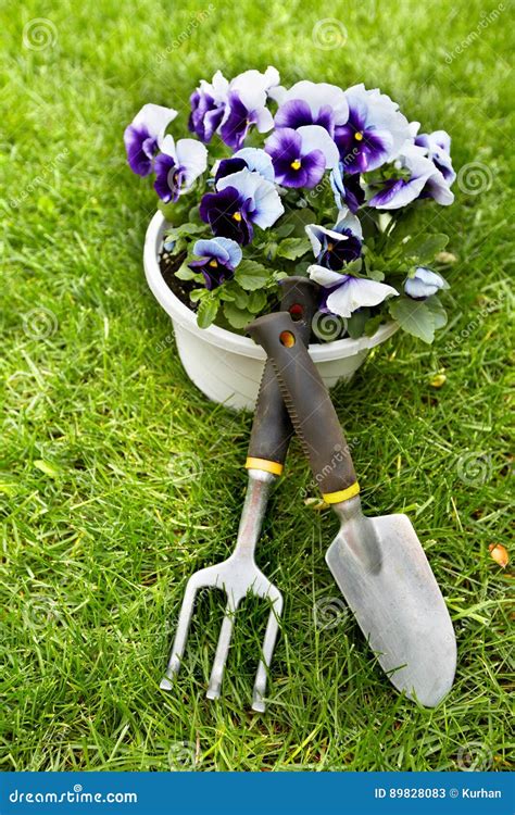 Flores Y Herramientas Que Cultivan Un Huerto Imagen De Archivo Imagen