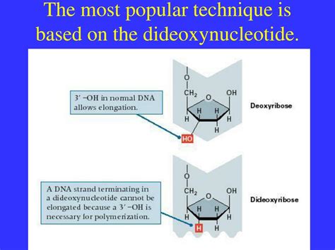 PPT - Introduction to DNA Sequencing Technology PowerPoint Presentation ...