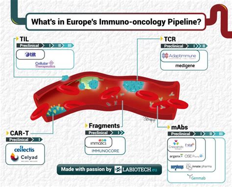 Infographic What S In Europe S Immuno Oncology Pipeline