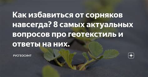 Как избавиться от сорняков навсегда? 8 самых актуальных вопросов про ...