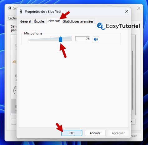 Configurer Le Microphone Dans Windows Easytutoriel