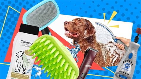 Must-Have Products for Dog Grooming and Bathing : Retrievist