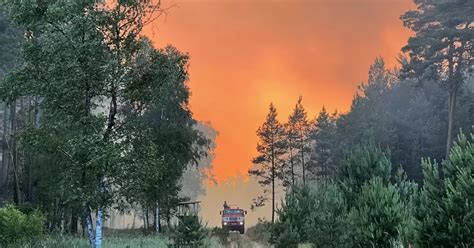 Waldbrand Feuerwehrleute Ben F R Den Ernstfall Vg Lingenfeld Vg