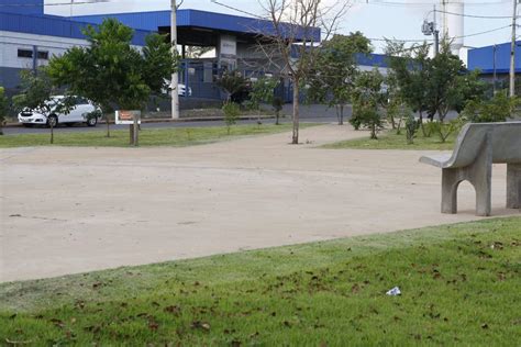 Projeto Garante Ado O De Quase Reas Verdes Pela Popula O V Tv