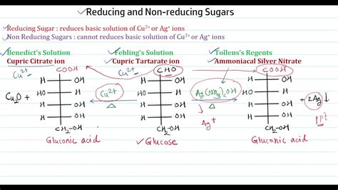 Reducing And Non Reducing Sugar Youtube