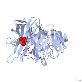 Invertase Proteopedia Life In 3D