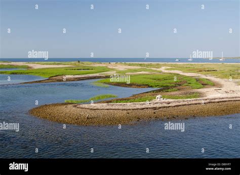 Massachusetts Elizabeth Islands Cuttyhunk Island Rocky Shoreline Of