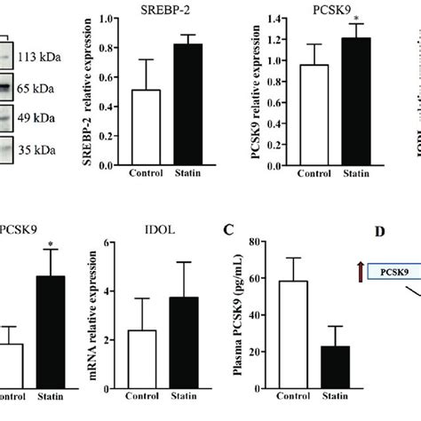 Expression Of Ldlr In The Pancreas And Liver Of Hyperlipidemic Mice