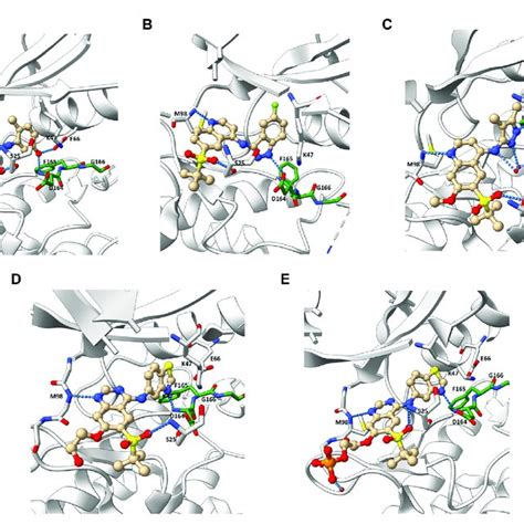 Co Crystal Structure Of Ripk In Complex With Pdb Id J A