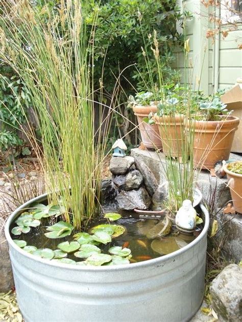 Galvanized Steel Water Troughs Make Nice Sized Water Gardens Not Too