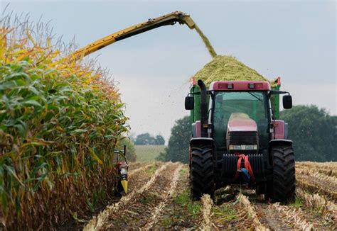 Some Start Corn Harvest - Mid-West Farm Report