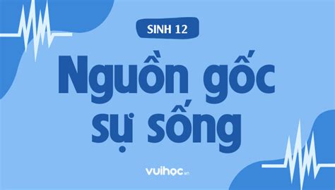 Sinh Học 12 Bài 32 Nguồn Gốc Sự Sống VUIHOC