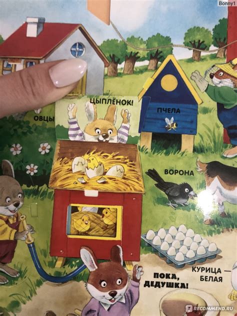 Моя большая книжка с окошками. Мэтт Вульф - «Книжка из моего детства ...