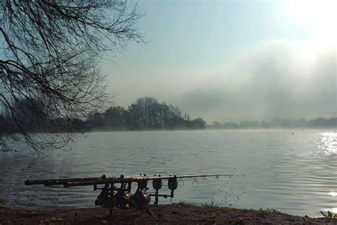 Warwickshire Carp Fishing Lakes Near Me - Discover The Best Fishing Spots