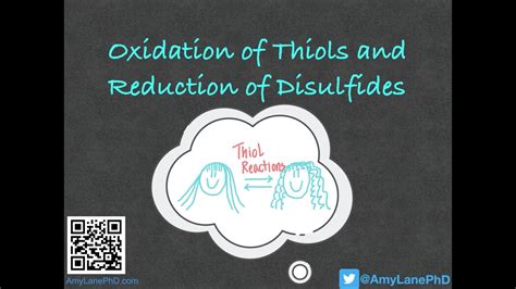 334 Bch3023 Oxidation Of Thiols And Reduction Of Disulfides Youtube