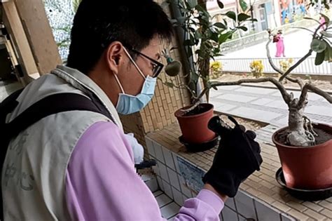 颱風海葵漸遠離 南市府籲雨後孳清防登革熱 地方 中央社 Cna