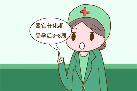 原创 怀胎十月，这4个时期是关键，孕妈把握好对胎儿发育很有利孕4月】傻大方