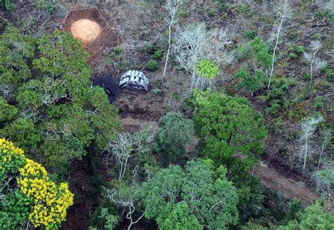 Desmatamento na Mata Atlântica cresce quase 30 CicloVivo