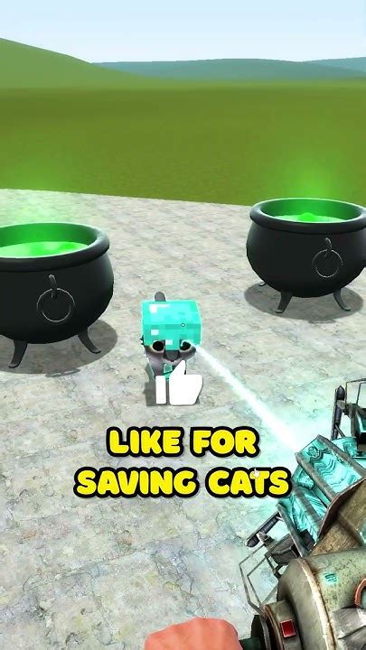 Save Chipi Chipi Chapa Chapa Cats In Garry`s Mod Youtube