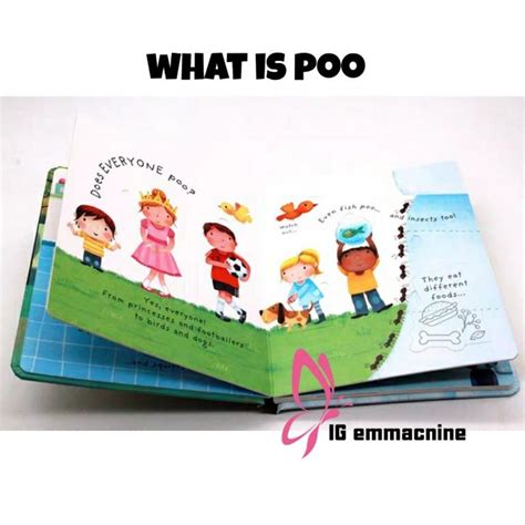 Usborne Lift The Flap Very First Questions Answers What Is Poo