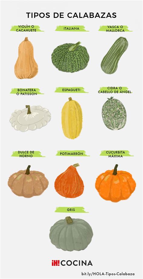 Estas Son Las Mejores Variedades De Calabaza Para Cocinar