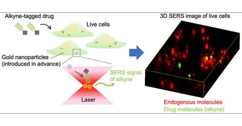 Quantitative Drug Dynamics Visualized By Alkyne Tagged Plasmonic