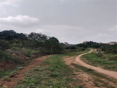 Agricultural Land Acre For Sale In Shoolagiri Hosur Rei