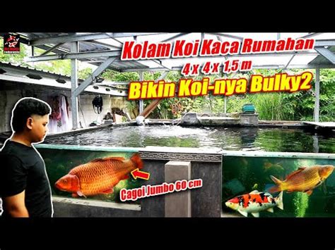 Kolam Koi Rumahan Ton Ini Bikin Koi Nya Jumbo Dan Bulky Youtube