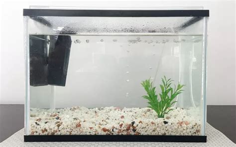 High Ph In Fish Tank Symptoms Causes And Prevention Aquariumnexus