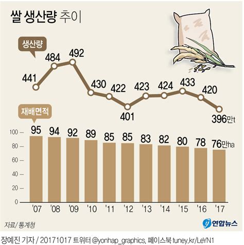 그래픽 올해 쌀 생산량 37년 만에 400만t 밑돌 듯 연합뉴스